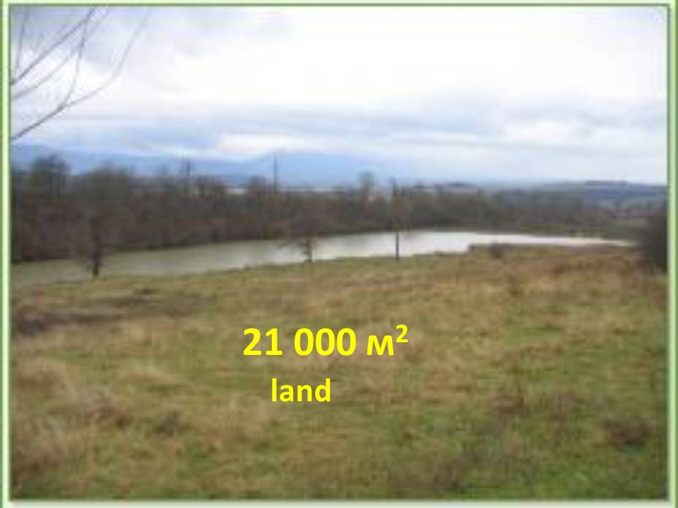 Image ad